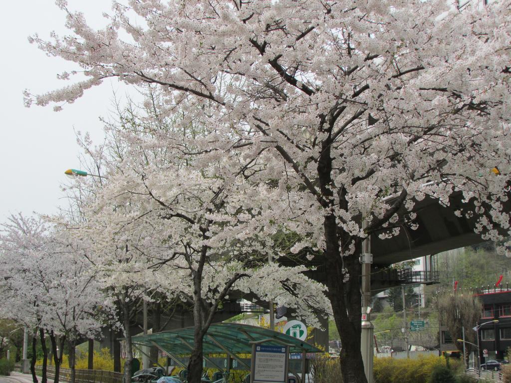 Yeon Guesthouse Seoul Exteriör bild